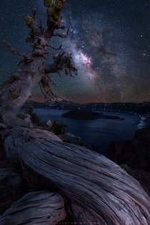 An ancient tree overlooks Crater Lake at night By far my favorite stop on a recent motorcyclecamping trip throughout Oregon 
