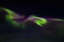 An aurora over Iceland like a bird in flight  Photographed by Jnna Gurn skarsdttir