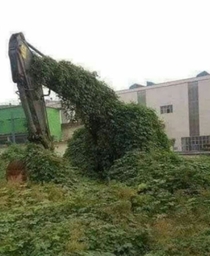 An excavator which hasnt moved in a while