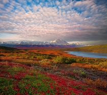 An Explosion Of Clouds Above Denali - Denali National Park Alaska Photo by Kevin McNeal 