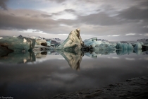 An iceberg that resembles a polar bear drifting into the ocean Iceland X
