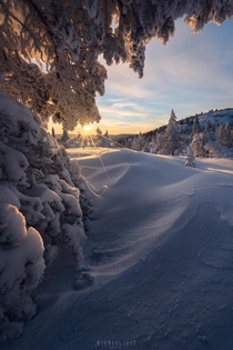 An icy cold but magical sunrise above a white winter wonderland  Buskerud Norway 