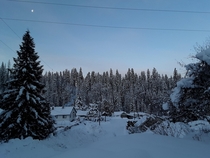 An Idaho mid-winters morning mooning