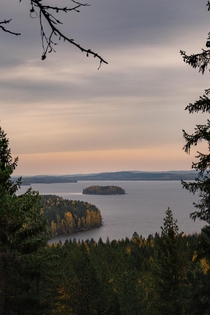 An islet of trees in central Finland 