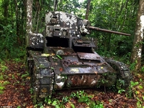 An M Stuart light tank lies at the same place where it was disabled by Japanese forces in  Kohinggo Island Solomons 
