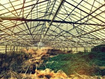 An old abandoned greenhouse 