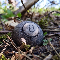 An old  Ball found deep in a forest