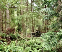 An old dump truck left over from a logging operation Cypress Island WA
