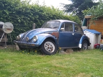 An old VW Beetle in my friends garden they wanted to restorate it but life got in the way