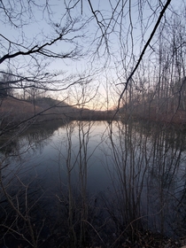 An Overgrown Pond near my Grandparents House in Stuart Virginia 