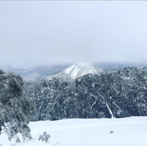 And a fourth photo from Mt Buller Victoria Australia