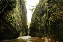 And this is what Oneonta Gorge looks like in the winter Water dripping from every wall So fucking magical I would have explored all day but my feet were numb after a hour 