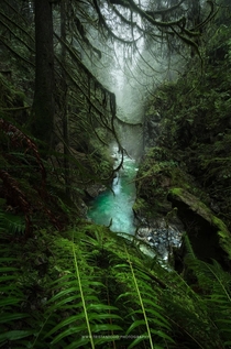 Another beautiful rainforest canyon located in southwestern British Columbia 