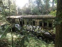 Another one from my trip to some abandoned trains in Kent UK Link in comments for more if youre interested