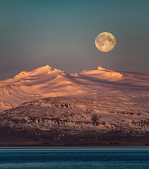 Another shot of my moon series  moonset over the Icelandic mountains while the sun rises  - more of my landscapes at insta glacionaut