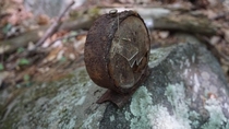 Antique alarm clock found in the woods of Central Massachusetts 