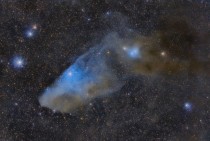 APOD  April  - IC  The Blue Horsehead Reflection Nebula 