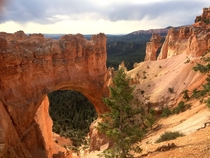 Arch Near Bryce Canyon in the Summer Utah 