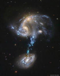 Arp  consists of  galaxies that collided within the past  million years A tidal tail of material was pulled between them and started the birth of large high mass blue-white stars The tidal tail is over  light years across Eventually it will merge into one