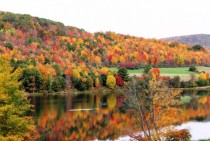 As Requested- Allegany State Park NY - Fall  - 