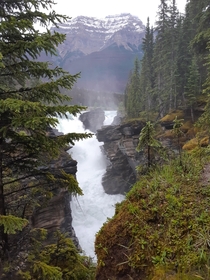 Athabasca Falls Jasper Alberta OC 