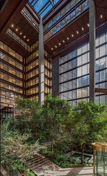 Atrium of NYCs Ford Foundation Building  designed by Kevin Roche 