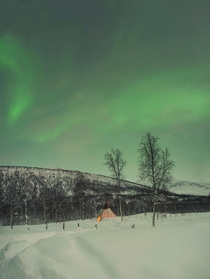 Aurora Borealis and the snowbounded Lavvu in Bardu beyond the arctic circle in Norway January 