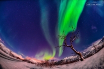 Aurora Borealis at Troms Norway  x