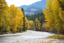 Autumn colors surrounding the river in Washington 