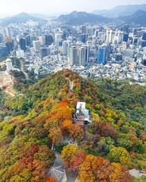 Autumn foliage at the downtown enclosed by mountains Seoul South Korea 