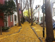 Autumn hits Philadelphia PA USA 