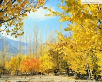 Autumn In Hunza Valley 
