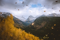 Autumn in Montana  IG petenathanson