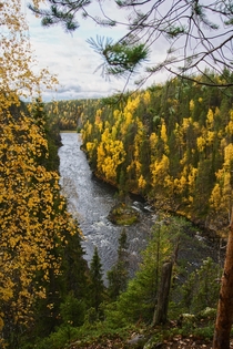 Autumn in Northern Finland Oulanka NationalPark 