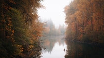 Autumn in Snoqualmie Washington - 