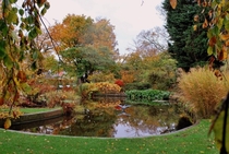 Autumn in the botanical garden 