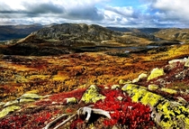 Autumn in the high plains of Hardangervidda Norway 