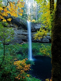 Autumn is the best time for taking in waterfalls Silver Falls State Park OR 