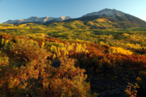 Autumn on Kebler Pass in Colorado 