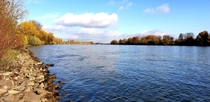 Autumn shades on Rhine river - Germany 