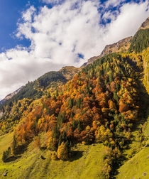 Autumn vibes in the Austrian alps  - Insta glacionaut