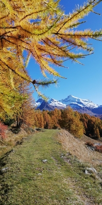 Autumn vibes - Valle dAosta 