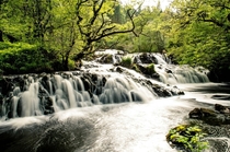 Avich Falls Argyll Scotland 