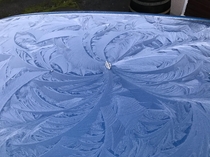 Awesome ice patterns surrounding a single leaf on top of my car this morning
