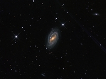 Barred Spiral Galaxy M 