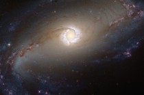 Barred spiral galaxy NGC  The bright star-forming ring that surrounds the heart of the galaxy is created by a supermassive black hole  million times the mass of our sun 