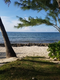 Beach behind my house OC Cayman Islands x