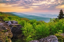 Bear Rocks Dolly Sods - West Virginia 