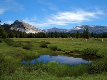 Beautiful afternoon in Tuolumne meadows Yosemite National Park 