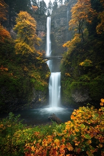 Beautiful fall colors on display at the iconic Multnomah Falls in the Columbia River Gorge 